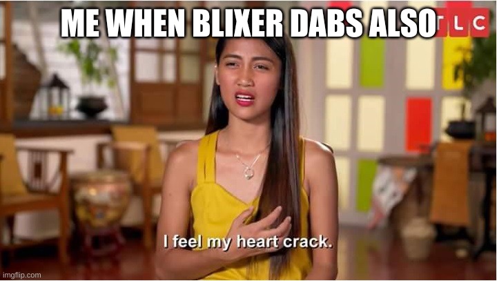 i feel my heart crack | ME WHEN BLIXER DABS ALSO | image tagged in i feel my heart crack | made w/ Imgflip meme maker