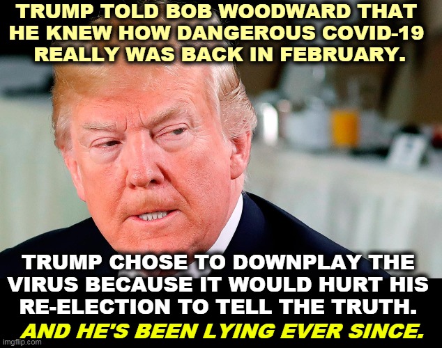 The only hoaxer was Trump. | TRUMP TOLD BOB WOODWARD THAT 
HE KNEW HOW DANGEROUS COVID-19 
REALLY WAS BACK IN FEBRUARY. TRUMP CHOSE TO DOWNPLAY THE 
VIRUS BECAUSE IT WOULD HURT HIS 
RE-ELECTION TO TELL THE TRUTH. AND HE'S BEEN LYING EVER SINCE. | image tagged in trump lip curl as his world goes to shit,trump,covid-19,coronavirus,liar,hoax | made w/ Imgflip meme maker