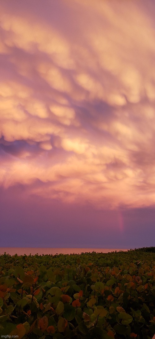 Beach Sunsets | made w/ Imgflip meme maker