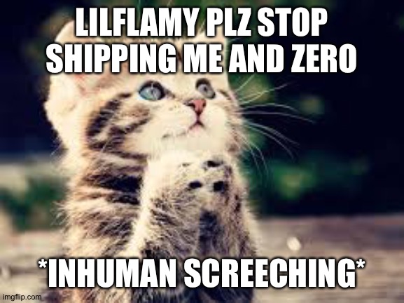 It's uncomfortable for me | LILFLAMY PLZ STOP SHIPPING ME AND ZERO; *INHUMAN SCREECHING* | image tagged in plz cat | made w/ Imgflip meme maker