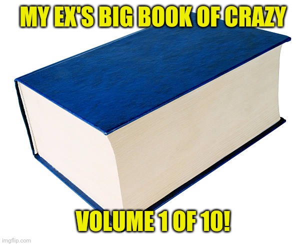 crazy ex | MY EX'S BIG BOOK OF CRAZY; VOLUME 1 OF 10! | image tagged in funny,memes,meme,funny memes,crazy,ex | made w/ Imgflip meme maker