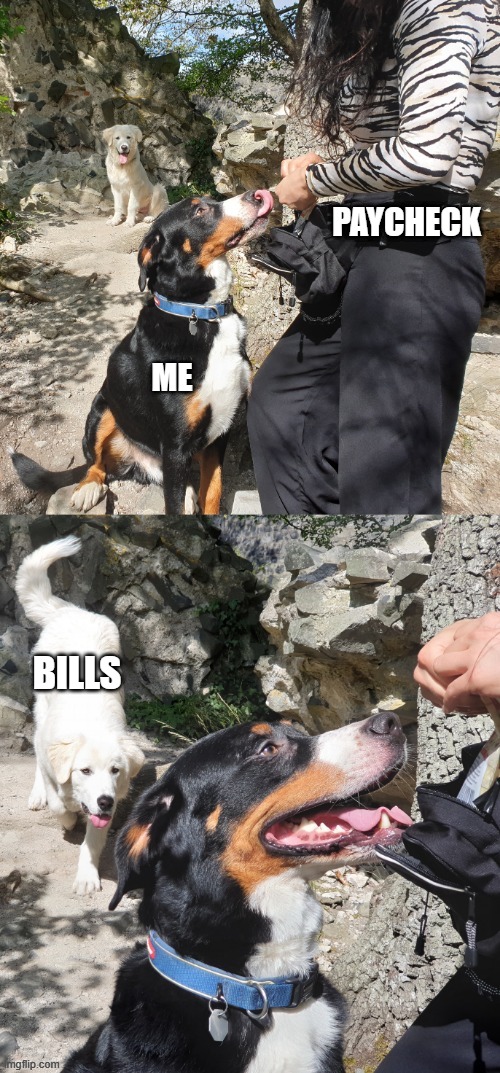 PAYCHECK; ME; BILLS | image tagged in MemeEconomy | made w/ Imgflip meme maker