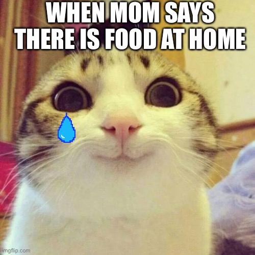 Smiling Cat Meme | WHEN MOM SAYS THERE IS FOOD AT HOME | image tagged in memes,smiling cat | made w/ Imgflip meme maker