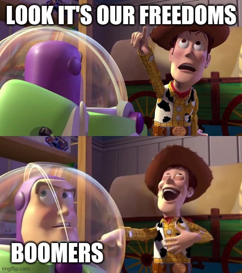 Toy Story funny scene | LOOK IT'S OUR FREEDOMS; BOOMERS | image tagged in toy story funny scene | made w/ Imgflip meme maker