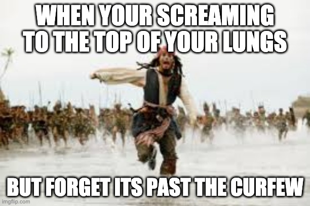 Angry mob | WHEN YOUR SCREAMING TO THE TOP OF YOUR LUNGS; BUT FORGET ITS PAST THE CURFEW | image tagged in funny | made w/ Imgflip meme maker