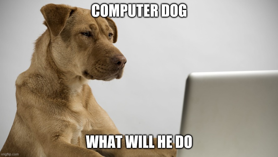 Hmmmmm | COMPUTER DOG; WHAT WILL HE DO | image tagged in doge | made w/ Imgflip meme maker