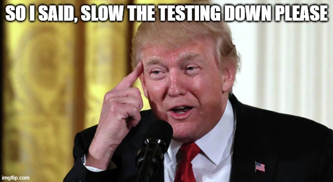 Trump Stable Genius | SO I SAID, SLOW THE TESTING DOWN PLEASE | image tagged in trump stable genius | made w/ Imgflip meme maker