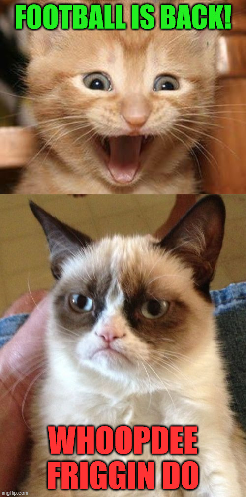 Grumpy Cat | FOOTBALL IS BACK! WHOOPDEE FRIGGIN DO | image tagged in memes,grumpy cat,football,see nobody cares,that face you make when | made w/ Imgflip meme maker