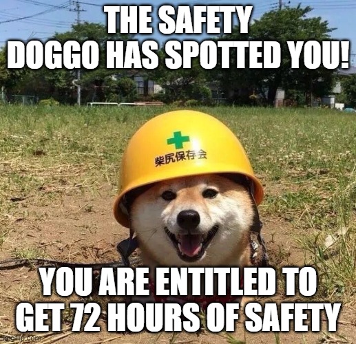 Safety doggo | THE SAFETY DOGGO HAS SPOTTED YOU! YOU ARE ENTITLED TO GET 72 HOURS OF SAFETY | image tagged in safety doggo,memes | made w/ Imgflip meme maker