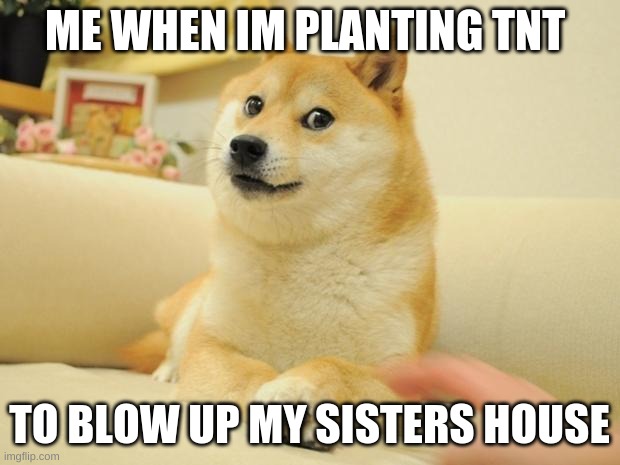 Doge 2 | ME WHEN IM PLANTING TNT; TO BLOW UP MY SISTERS HOUSE | image tagged in memes,doge 2 | made w/ Imgflip meme maker