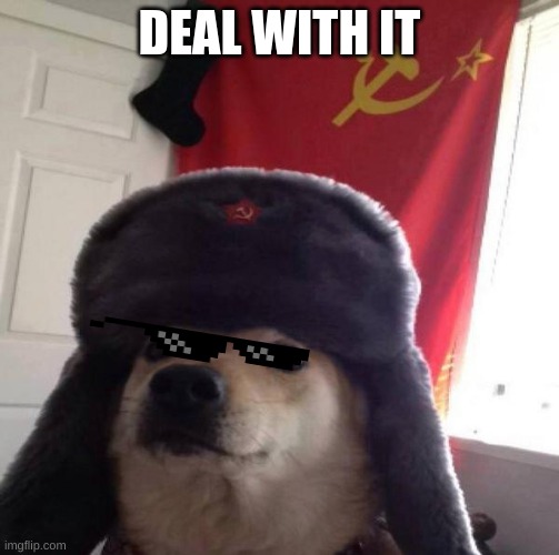 Russian Doge | DEAL WITH IT | image tagged in russian doge | made w/ Imgflip meme maker