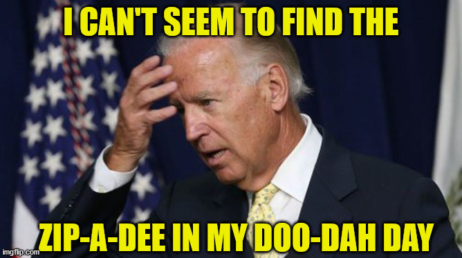 Joe Biden worries | I CAN'T SEEM TO FIND THE; ZIP-A-DEE IN MY DOO-DAH DAY | image tagged in joe biden worries,memes | made w/ Imgflip meme maker