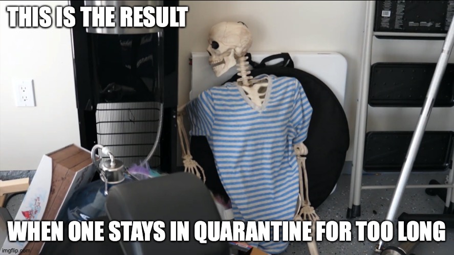 Theodd1sout Skeleton | THIS IS THE RESULT; WHEN ONE STAYS IN QUARANTINE FOR TOO LONG | image tagged in theodd1sout,skeleton,memes,youtube | made w/ Imgflip meme maker