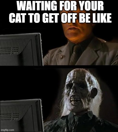 I'll Just Wait Here Meme | WAITING FOR YOUR CAT TO GET OFF BE LIKE | image tagged in memes,i'll just wait here,cat,cats | made w/ Imgflip meme maker
