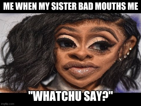 Not happy with you | ME WHEN MY SISTER BAD MOUTHS ME; "WHATCHU SAY?" | image tagged in funny | made w/ Imgflip meme maker