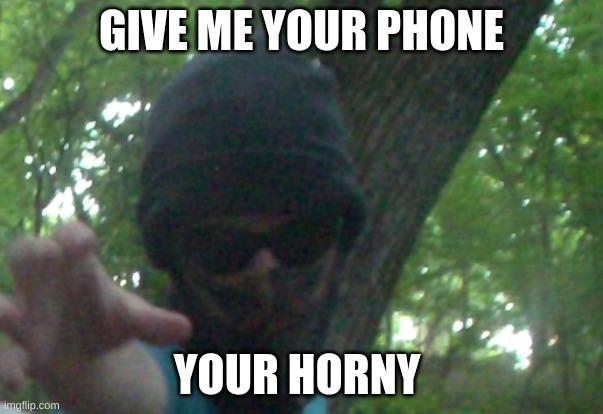 give me it now | GIVE ME YOUR PHONE; YOUR HORNY | image tagged in memes | made w/ Imgflip meme maker