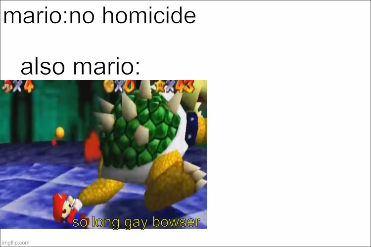 So long gay bowser | mario:no homicide; also mario:; so long gay bowser | image tagged in mario,bowser | made w/ Imgflip meme maker
