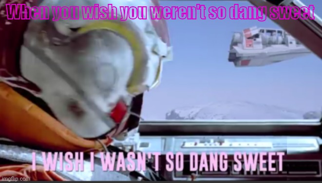 I wish I wasn't so dang sweet | When you wish you weren't so dang sweet | image tagged in i wish i wasn't so dang sweet | made w/ Imgflip meme maker