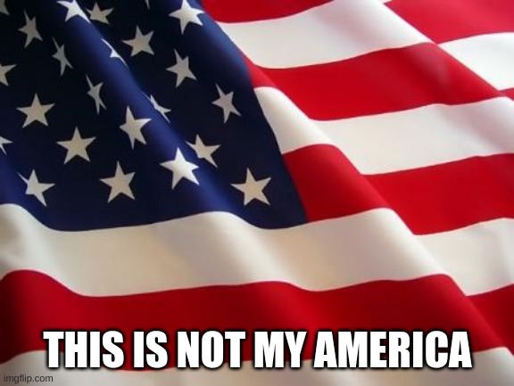 American flag | THIS IS NOT MY AMERICA | image tagged in american flag | made w/ Imgflip meme maker
