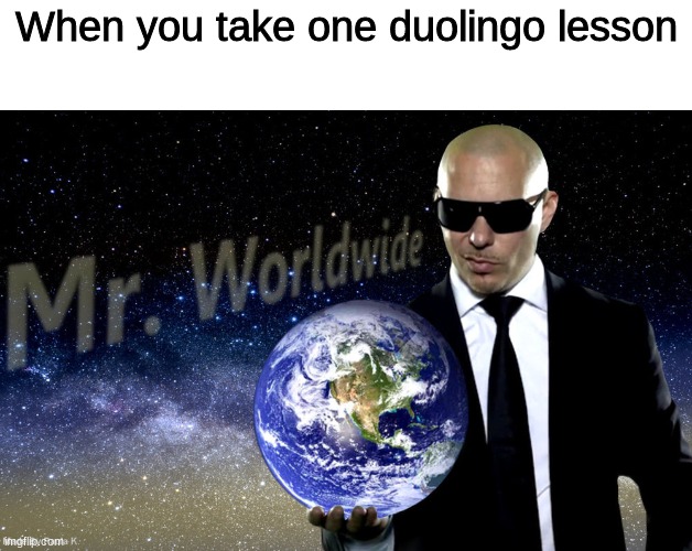 Mr Worldwide | When you take one duolingo lesson | image tagged in mr worldwide,duolingo,memes,funny | made w/ Imgflip meme maker