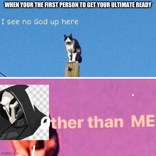 Hail pole cat | WHEN YOUR THE FIRST PERSON TO GET YOUR ULTIMATE READY | image tagged in hail pole cat | made w/ Imgflip meme maker