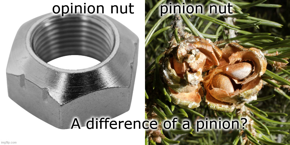 difference of opinion | opinion nut     pinion nut; A difference of a pinion? | image tagged in opinions | made w/ Imgflip meme maker