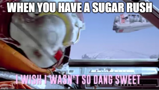 here is mine | WHEN YOU HAVE A SUGAR RUSH | image tagged in i wish i wasn't so dang sweet | made w/ Imgflip meme maker