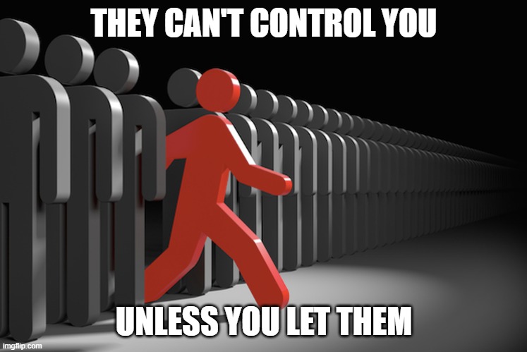 Truth | THEY CAN'T CONTROL YOU; UNLESS YOU LET THEM | image tagged in mind control,control | made w/ Imgflip meme maker