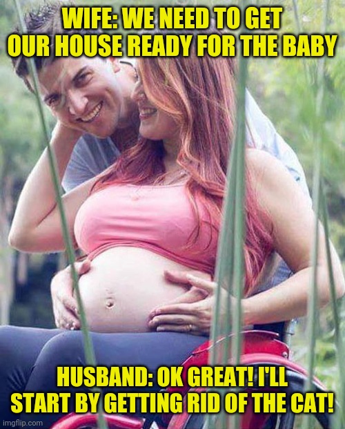 getting ready for baby | WIFE: WE NEED TO GET OUR HOUSE READY FOR THE BABY; HUSBAND: OK GREAT! I'LL START BY GETTING RID OF THE CAT! | image tagged in funny,memes,funny memes,baby,pregnant,meme | made w/ Imgflip meme maker