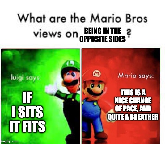 Thought it would weird, I dunno | BEING IN THE OPPOSITE SIDES; IF I SITS IT FITS; THIS IS A NICE CHANGE OF PACE, AND QUITE A BREATHER | image tagged in mario bros views | made w/ Imgflip meme maker