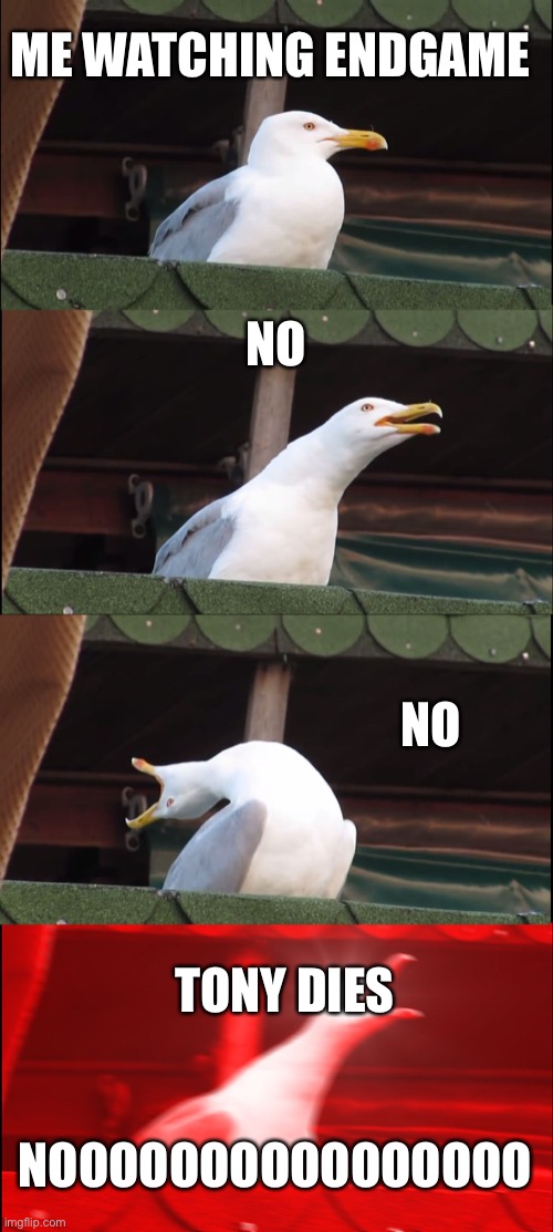 Inhaling Seagull Meme | ME WATCHING ENDGAME; NO; NO; TONY DIES; NOOOOOOOOOOOOOOOO | image tagged in memes,inhaling seagull | made w/ Imgflip meme maker