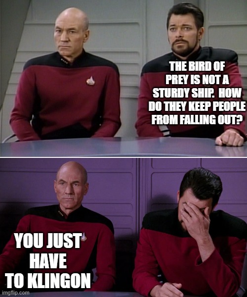 Picard Riker listening to a pun | THE BIRD OF PREY IS NOT A STURDY SHIP.  HOW DO THEY KEEP PEOPLE FROM FALLING OUT? YOU JUST HAVE TO KLINGON | image tagged in picard riker listening to a pun | made w/ Imgflip meme maker