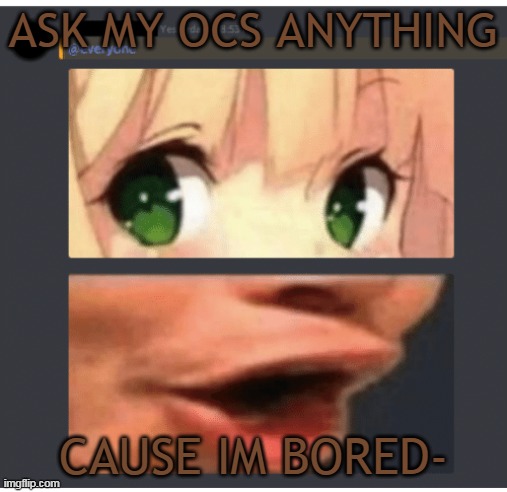 I will probably regret this | ASK MY OCS ANYTHING; CAUSE IM BORED- | made w/ Imgflip meme maker