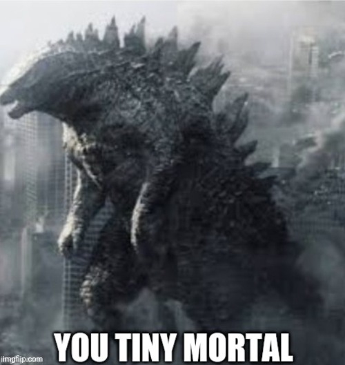 image tagged in you tiny mortal godzilla | made w/ Imgflip meme maker