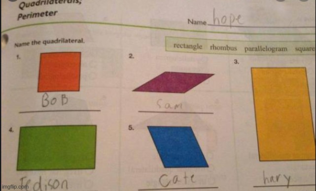 why | image tagged in homework,why | made w/ Imgflip meme maker