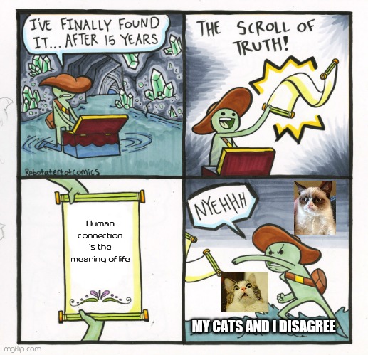 The chosen ones | Human connection is the meaning of life; MY CATS AND I DISAGREE | image tagged in memes,the scroll of truth,grumpy cat,cats | made w/ Imgflip meme maker