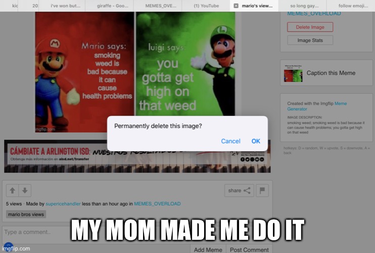 i deleted it because my mom said it was "innapropiate"bruh | MY MOM MADE ME DO IT | image tagged in moms | made w/ Imgflip meme maker