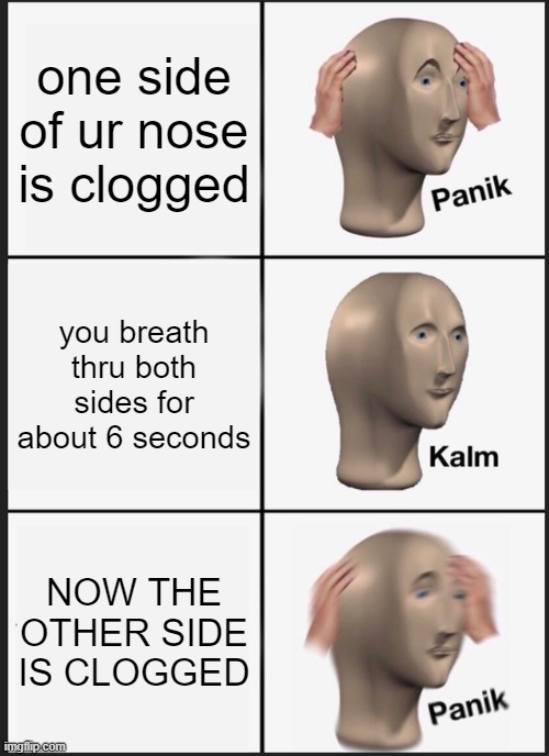 SEND HELP |  one side of ur nose is clogged; you breath thru both sides for about 6 seconds; NOW THE OTHER SIDE IS CLOGGED | image tagged in memes,panik kalm panik | made w/ Imgflip meme maker