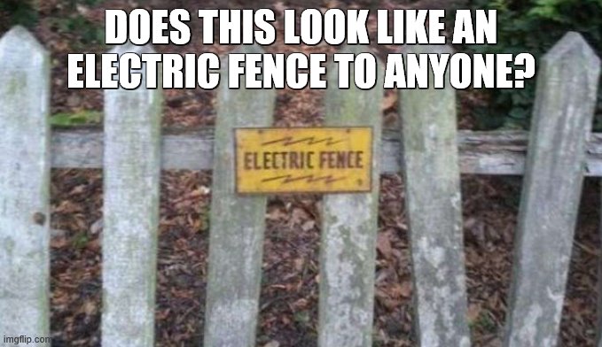 DOES THIS LOOK LIKE AN ELECTRIC FENCE TO ANYONE? | image tagged in electric fence | made w/ Imgflip meme maker