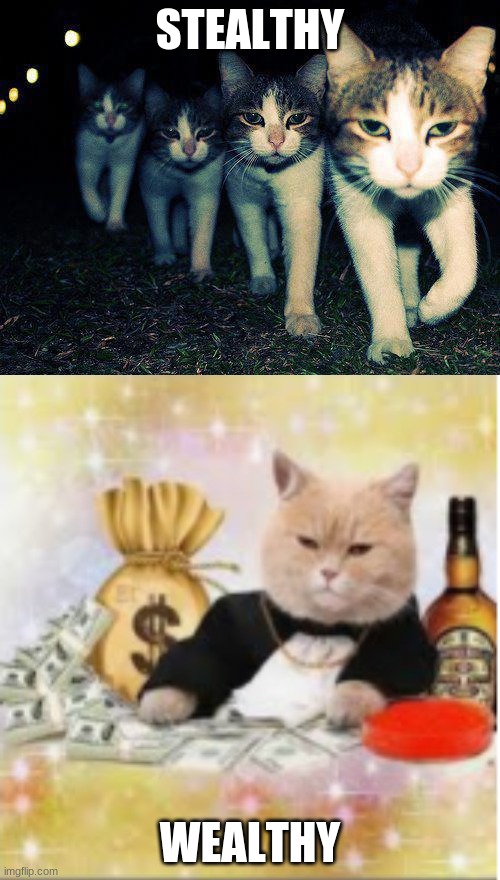 stealth wealth | STEALTHY; WEALTHY | image tagged in memes,wrong neighboorhood cats | made w/ Imgflip meme maker