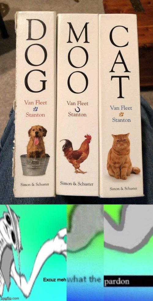 Hmmmmmm: Moo Chicken book design | image tagged in excuse me what the pardon,you had one job,animals,memes,meme,books | made w/ Imgflip meme maker