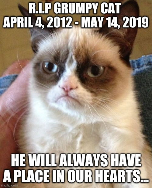 Grumpy Cat Meme | R.I.P GRUMPY CAT 
APRIL 4, 2012 - MAY 14, 2019; HE WILL ALWAYS HAVE A PLACE IN OUR HEARTS... | image tagged in memes,grumpy cat | made w/ Imgflip meme maker