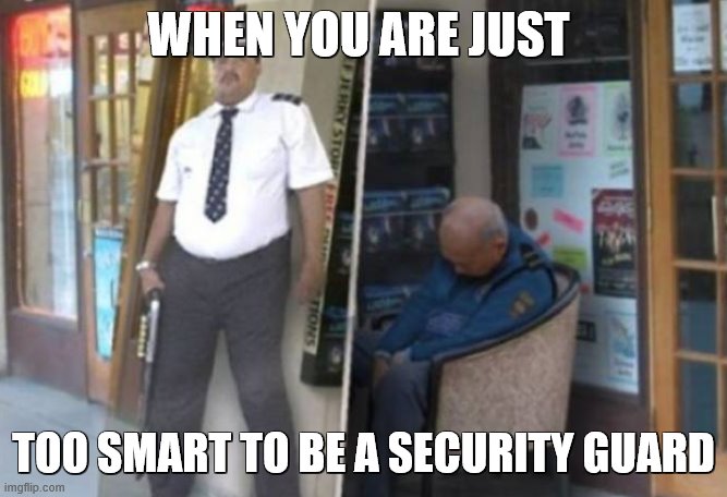WHEN YOU ARE JUST; TOO SMART TO BE A SECURITY GUARD | image tagged in security fail | made w/ Imgflip meme maker