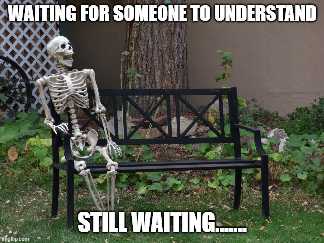 op will surely deliver | WAITING FOR SOMEONE TO UNDERSTAND; STILL WAITING....... | image tagged in op will surely deliver | made w/ Imgflip meme maker