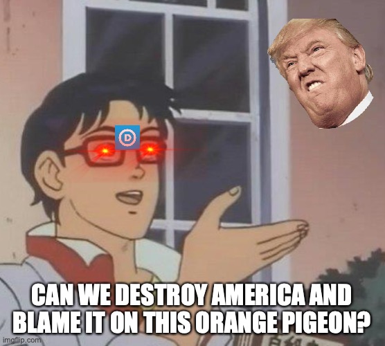 Is This A Pigeon | CAN WE DESTROY AMERICA AND BLAME IT ON THIS ORANGE PIGEON? | image tagged in memes,is this a pigeon | made w/ Imgflip meme maker