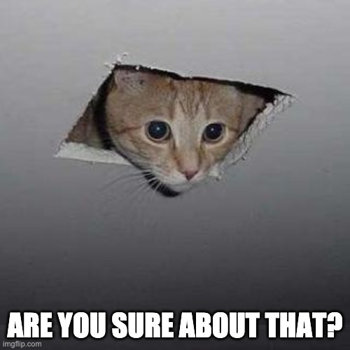 John Cena | ARE YOU SURE ABOUT THAT? | image tagged in memes,ceiling cat | made w/ Imgflip meme maker