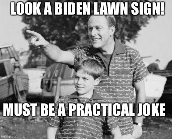 Bye bye Biden sign | LOOK A BIDEN LAWN SIGN! MUST BE A PRACTICAL JOKE | image tagged in memes,look son | made w/ Imgflip meme maker