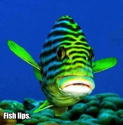 Fish lips. | made w/ Imgflip meme maker