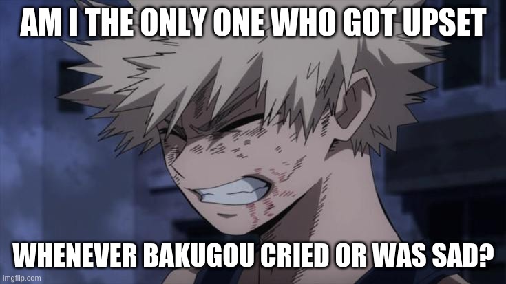 AM I THE ONLY ONE WHO GOT UPSET; WHENEVER BAKUGOU CRIED OR WAS SAD? | image tagged in my hero academia,bakugou | made w/ Imgflip meme maker