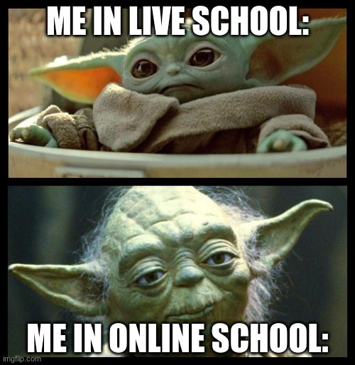 baby yoda | ME IN LIVE SCHOOL:; ME IN ONLINE SCHOOL: | image tagged in baby yoda | made w/ Imgflip meme maker